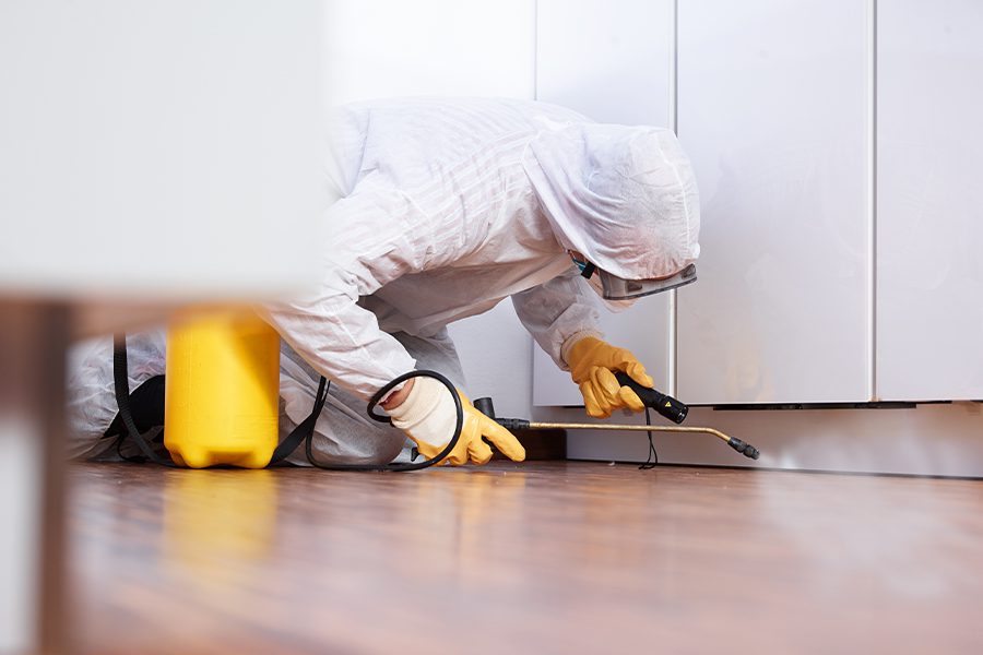 Pest Control Insurance - Pest Control Worker in the Kitchen of a Home Spraying Pesticide Under the Kitchen Cabinets